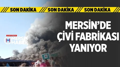 Organize Sanayi Bölgesinde Bulunan Çivi Fabrikasında Yangın