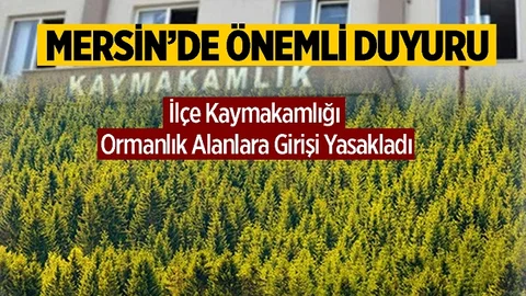 İlçe Kaymakamlığı Ormanlık Alanlara Girişleri Yasakladı
