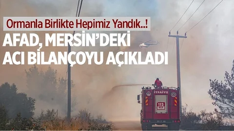 Mersin'deki Acı Bilançoyu AFAD Açıkladı