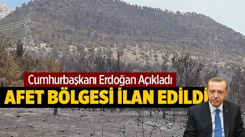 Yangın Bölgeleri Afet Bölgesi İlan Edildi