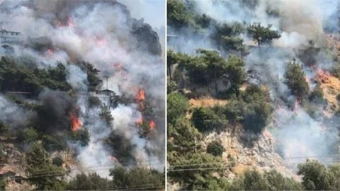 Hatay Antakya'da Orman Yangını