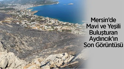 Aydıncık'ta Yangın Sonrası Çekilen Görüntü Yürekleri Yaktı