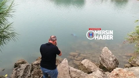 Su da Erkek Cesedi Bulundu