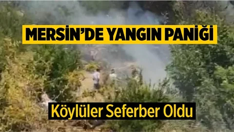 Gülnar'daki Yangında Köylüler Seferber Oldu