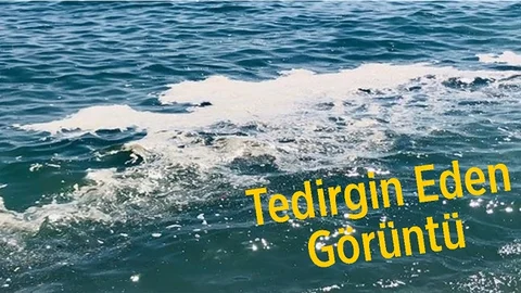 Mersin Tece'deki Görüntü Tedirgin Etti