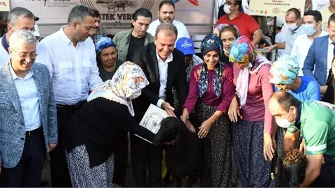 Büyükşehir’in Küçükbaş Hayvan ve Yem Desteği Sürüyor