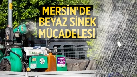 Mersin Büyükşehir’den Beyazsineğe Karşı Kapsamlı Mücadele