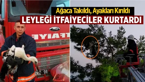 Mahsur Kalan Leyleği Mersin Bşb İtfaiyesi Kurtardı