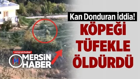 Mersin'de Kan Donduran İddia, Köpeği Tüfekle Öldürdü!