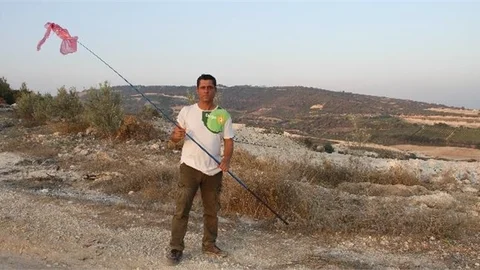 Mersin’de Elektrik Çarpan Leylekler İçin Nöbet!