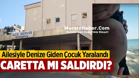 Mersin'de Caretta Kaplumbağasının Saldırdığı İddia Edilen Çocuk Hastaneye Kaldırıldı
