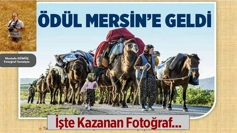 Mersin'de Çekilen Fotoğraf Ödül Aldı