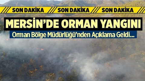 Mersin'de Orman Yangını, Resmi Açıklama Yapıldı
