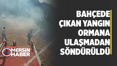 Mersin'de Yangın Ormana Ulaşmadan Söndürüldü