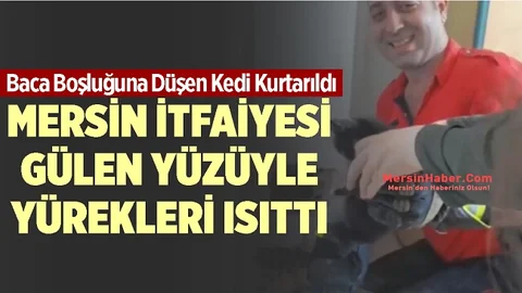 Baca Boşluğuna Düşen Kediyi İtfaiye Ekipleri Kurtardı