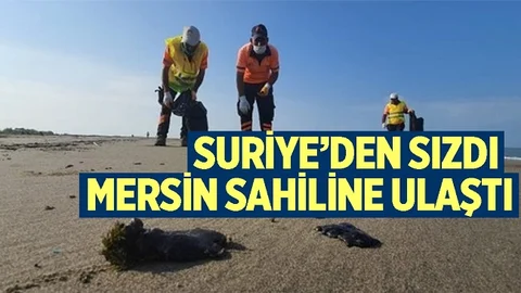 Suriye’den Denize Sızan Petrol, Mersin Sahillerine Ulaştı
