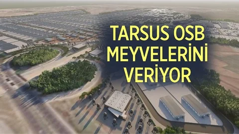 Tarsus OSB Meyvelerini Veriyor