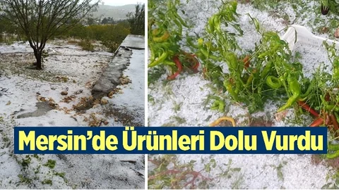 Mersin'de Tarım Alanlarını Dolu Vurdu