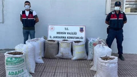 Tohum Hırsızlarını Fotokapan Ele Verdi