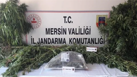 Yasadışı Ekim Yapanlara Operasyon