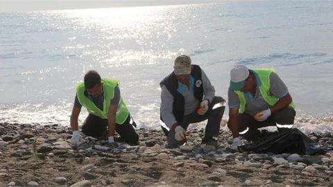 Mersin Erdemli Sahilinde Petrol Sızıntısı Temizliği