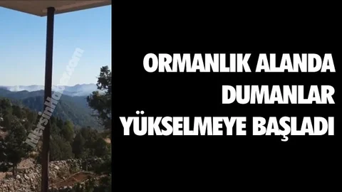 Mersin'de Ormanlık Alanda Yangın!