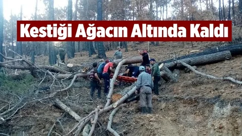 Mersin'de Kestiği Ağacın Altında Kalan Adam Yaralandı