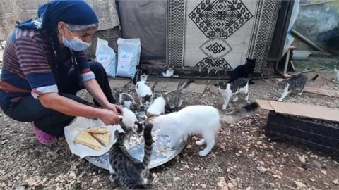 Sokak Hayvanlarına Sahip Çıkan Kadına Büyükşehir Belediyesi’nden Mama Desteği
