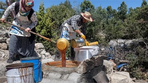 Üretici Kadınlara Satış Eğitimleri ve Stant Desteği