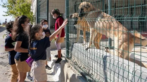 Miniklerden Patili Dostlara Ziyaret