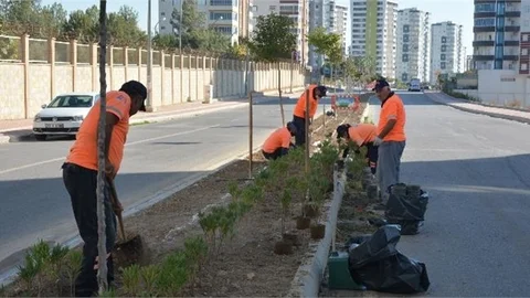Kentin Refüjleri Renkleniyor!