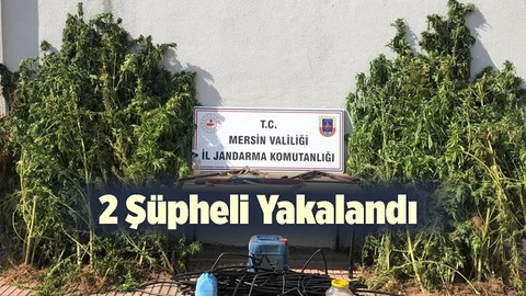 Mersin'de 2 Şüpheli Yakalandı