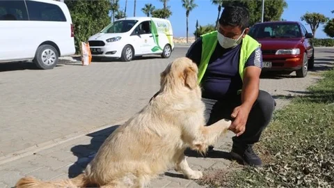 "Sevimli Patiler Yalnız Değil"