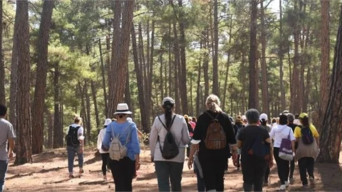 Tarsus Çamalan’da "Doğa Bizi Çağırıyor" Etkinliği