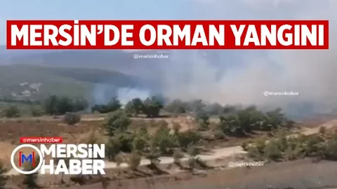 Silifke'de Orman Yangını Başladı