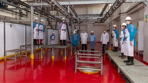 Mezbaha Personeline Iso 22000 Gıda Hijyeni Eğitimi Verildi