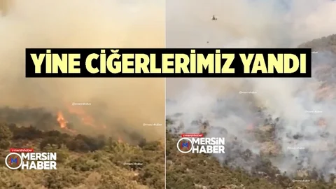 Mersin'de Orman Yangını Çıktı, Ekipler Seferber Oldu