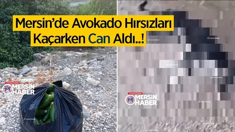 Mersin'de Avokado Hırsızları 'Can' Aldı