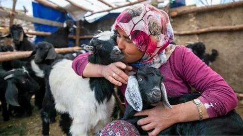 Büyükşehir Kooperatiflerle Güç Birliği Yapıyor, Mersinli Üretici Kazanıyor