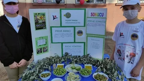 Tübitak 4006 Bilim Fuarında "Yaşam Tanem- Tarsus Sarıulak Zeytini " Projesi Tanıtıldı