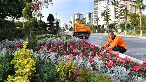 Mersin, Büyükşehir’le Kış Aylarında da Rengarenk