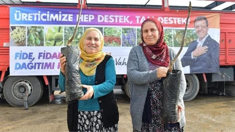 Kent Genelindeki Üreticilere Toplam 19 Bin Ceviz Fidanı