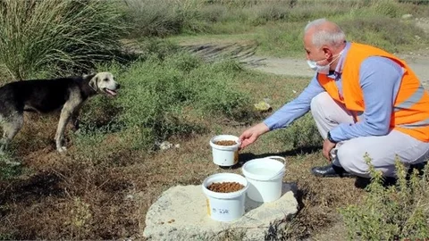 Haytap ve Getir İşbirliği İle 2 Ton Mama Akdeniz’de