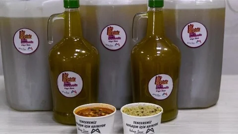 Zeytin Ağaçları Meyvesini Verdi, Büyükşehir Değerlendirdi