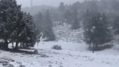 Mersin'e Yılın İlk Karı Yağdı