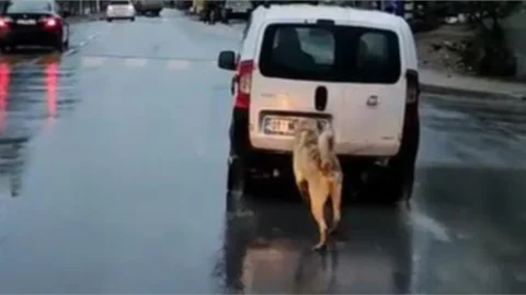 Utanç Veren Görüntü