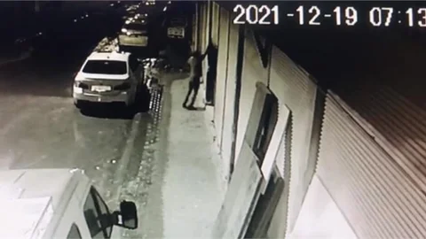 5 Yaşındaki Papağan Çalındı