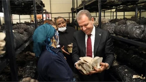 Başkan Seçer, Roman Kadınlar İle Mantar Hasadı Yaptı