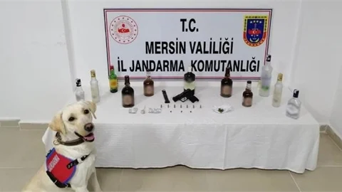 Mersinde Jandarmadan Sahte Alkol Denetimi