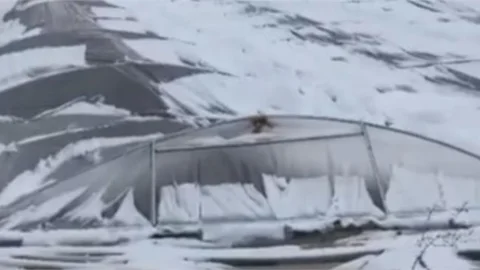 Seranın Çatısı Kar Yağışının Etkisiyle Çöktü